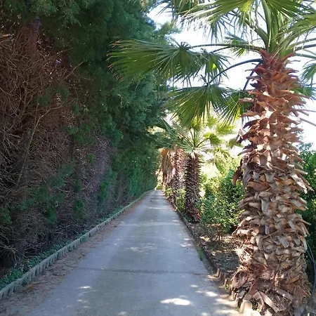 Erdem Ciftligi/ Ephesus Arena Apartment Selcuk