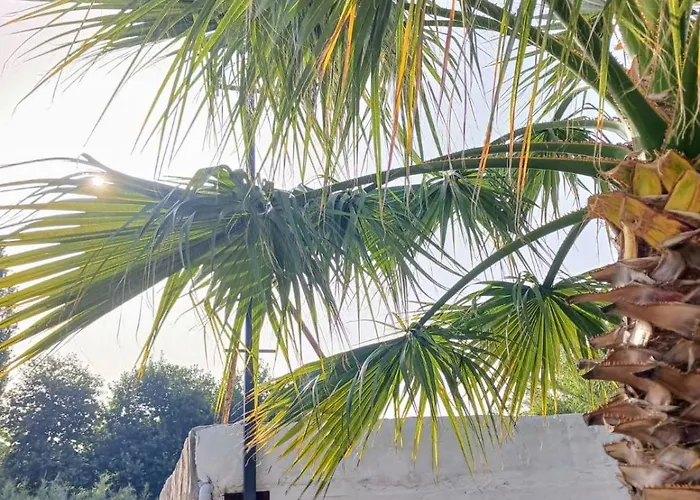 Erdem Ciftligi/ Ephesus Arena 公寓 *